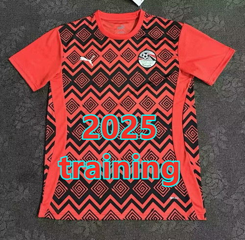 Egypt Training Fans Version Jersey S-4XL