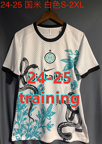 24-25 Inter Milan Fans Version Training Jersey S-2XL