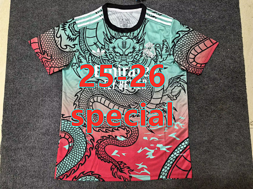 25-26 Real Madrid Special Fans Jersey S-2XL