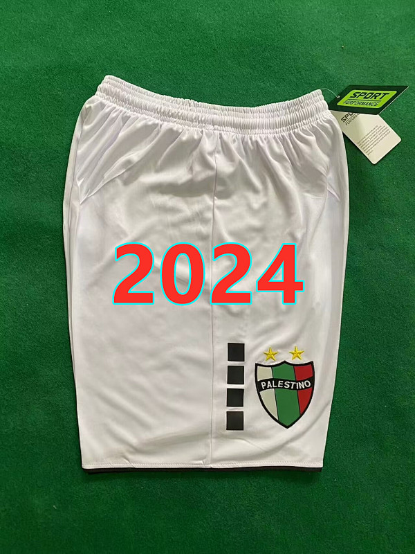 Palestine Home Shorts S-2XL