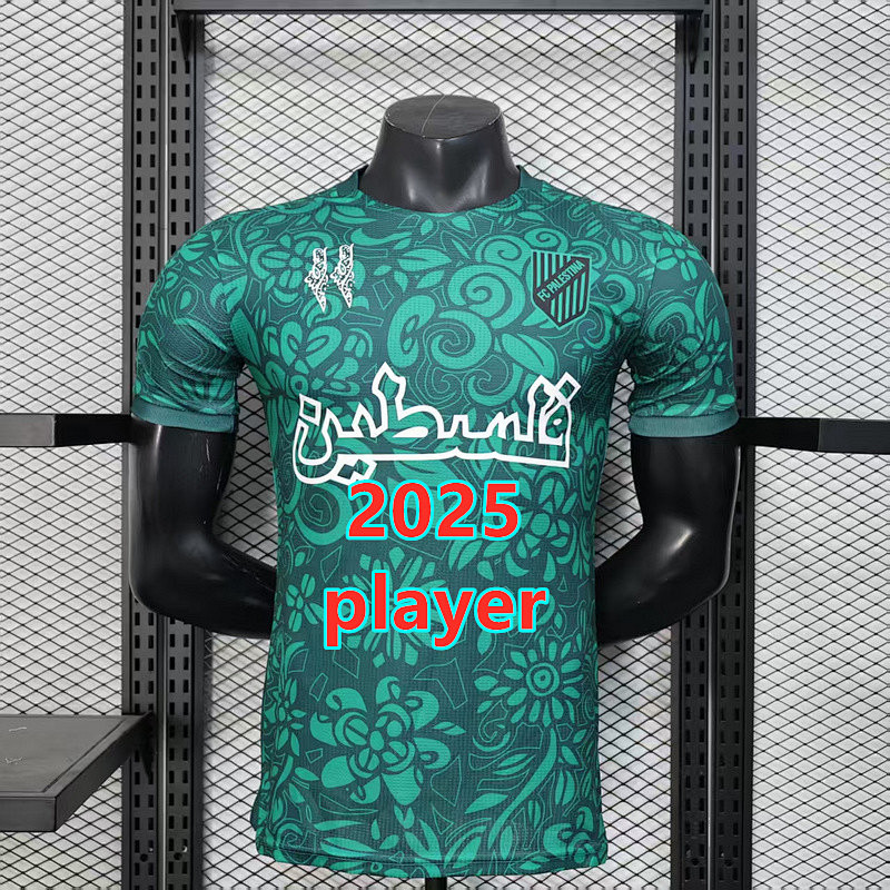 Palestine Training Player Version Jersey S-2XL