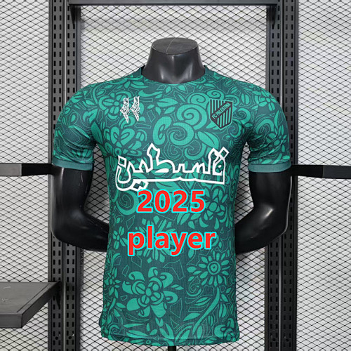 Palestine Training Player Version Jersey S-2XL