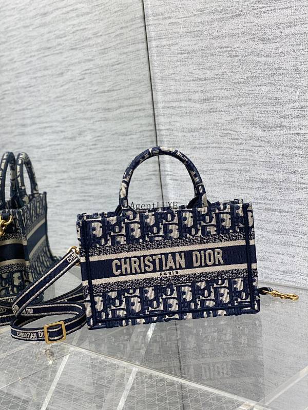 Louis Vuitton Tote Oblique