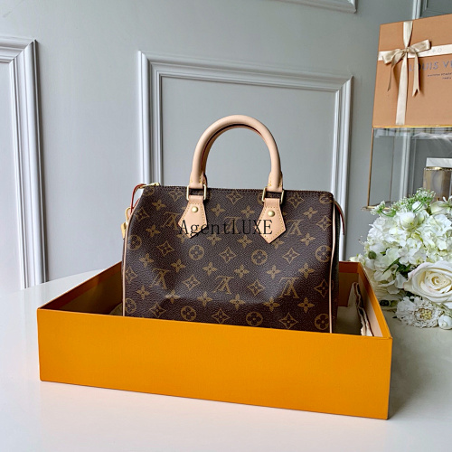 Louis Vuitton Speedy 25 Monogram