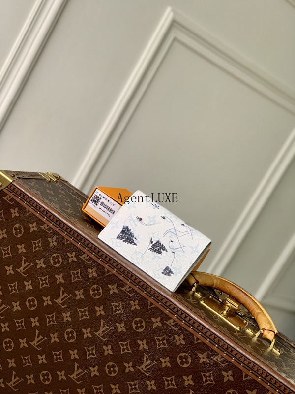Louis Vuitton Passport Holder Skiing