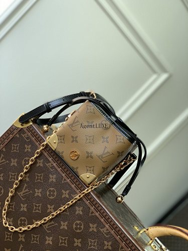 Louis Vuitton Online Only Monogram Reverse LV 11.5 X 11.5 X 11.5