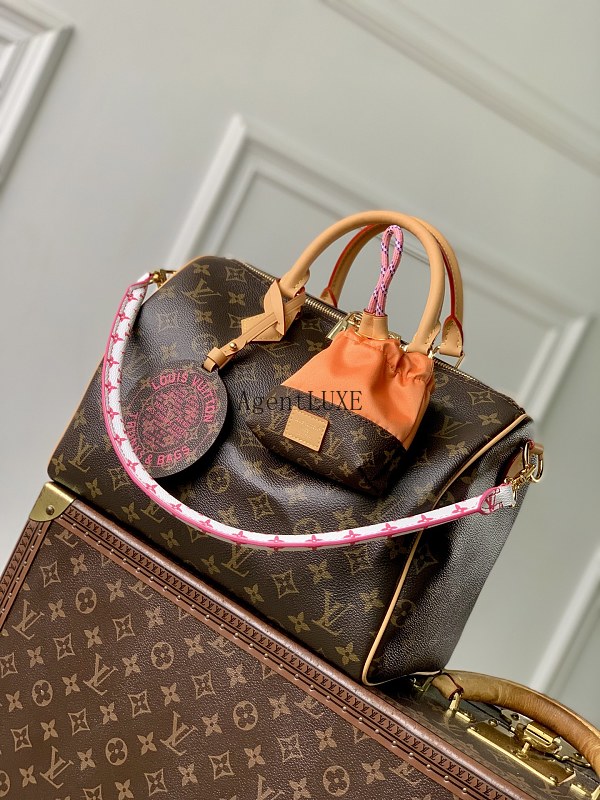 Louis Vuitton Paris À Vélo Speedy Soft 30 Monogram Nanogram Toron