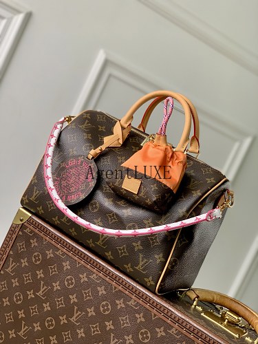 Louis Vuitton Paris À Vélo Speedy Soft 30 Monogram Nanogram Toron