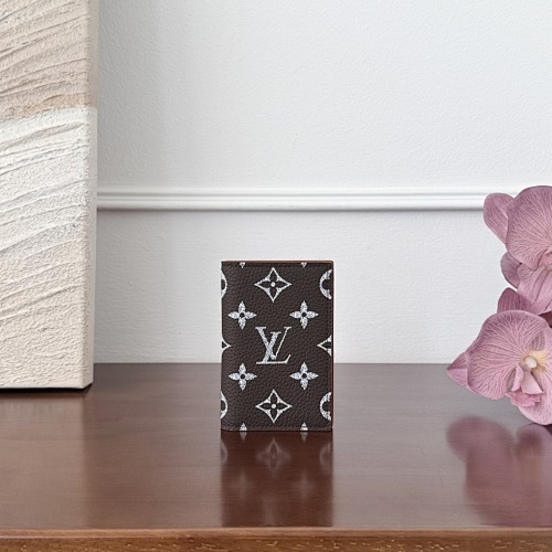 Louis Vuitton card holder