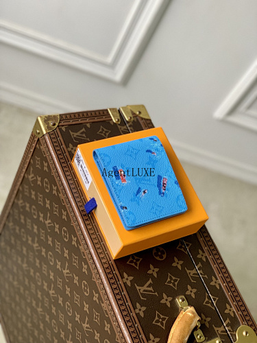 Louis Vuitton Wallet Swimming