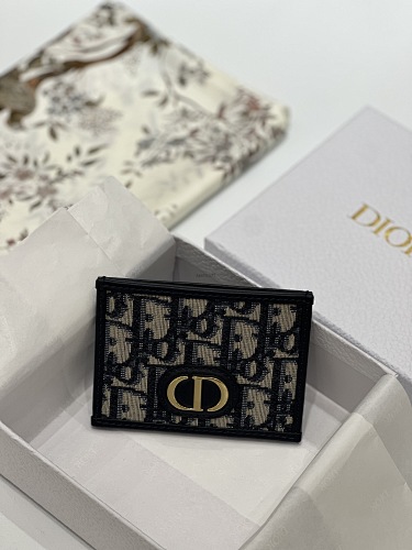 Louis Vuitton card holder