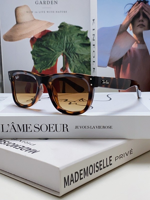 RayBan 0RBR0502S