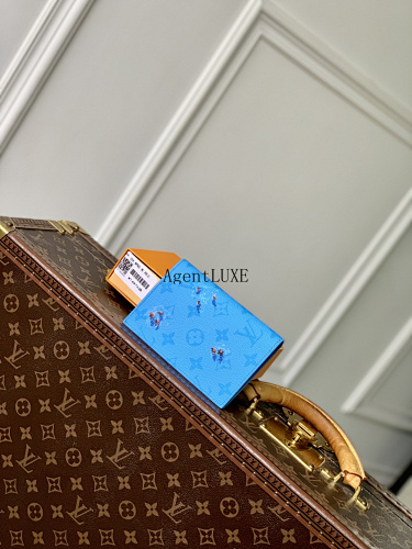 Louis Vuitton Passport Holder Swimming