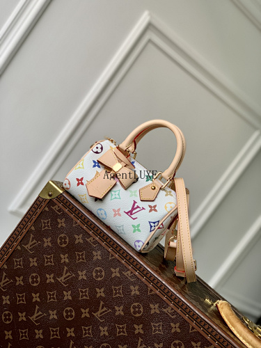 Louis Vuitton Nano Speedy Monogram X Toron LV X TM