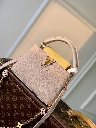 Louis Vuitton Capucines Monogram LV Size 21x14x8cm