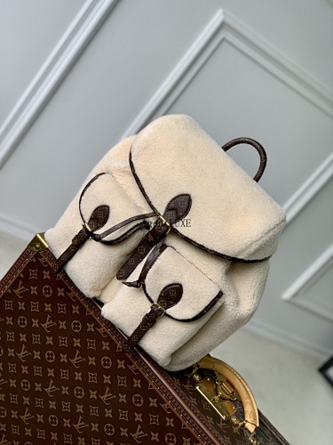 Louis Vuitton backpack