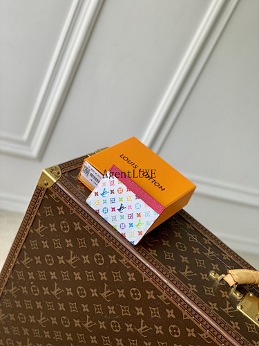 Louis Vuitton LV TM Multicle 6