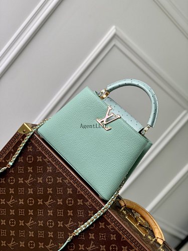 Louis Vuitton Capucines Taurillon LV 27 18 9