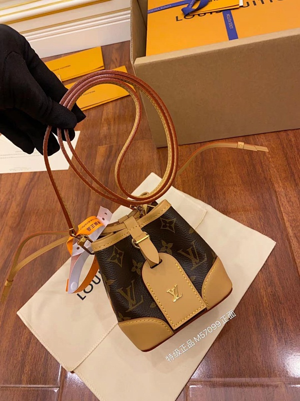 Louis Vuitton bag