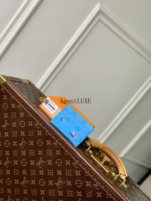 Louis Vuitton Card Holder Swimming