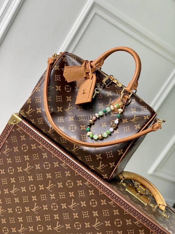 Louis Vuitton Speedy Soft 30 Boho Monogram Toron