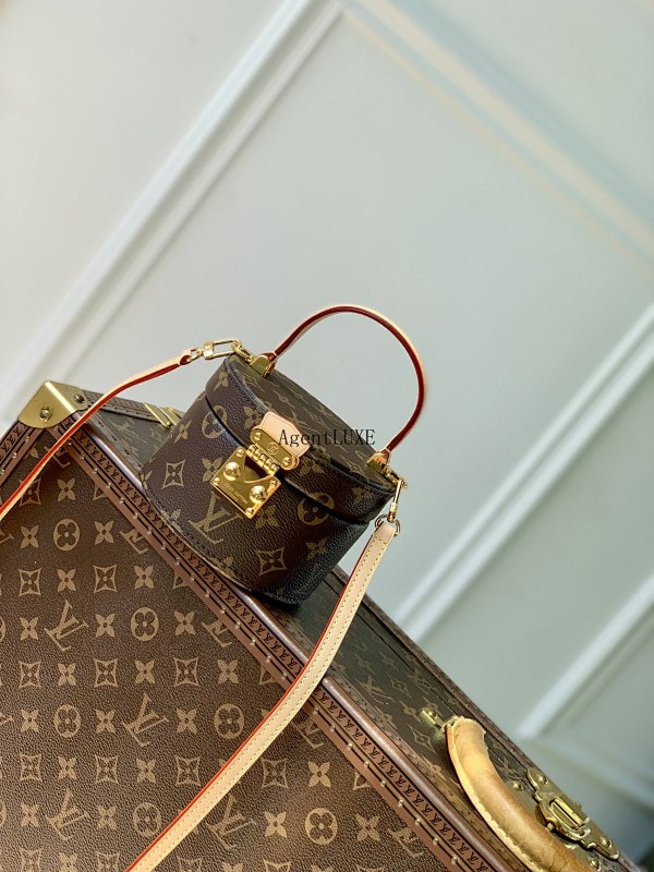 Louis Vuitton Scott Monogram Scott S-lock