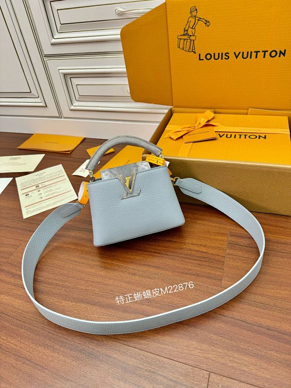 Louis Vuitton bag
