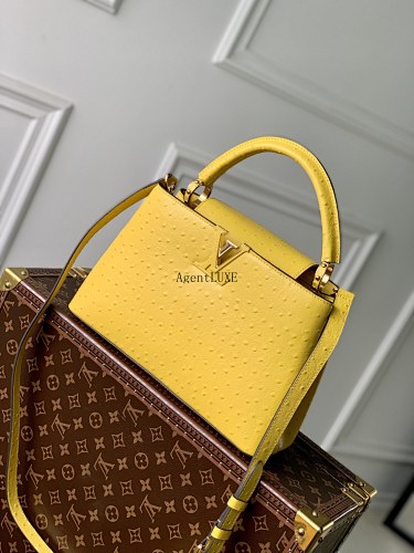 Capucines Monogram Flower Size 31.5 20 11 Cm