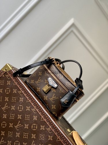 Louis Vuitton Vanity Chain Pouch Monogram LV 19.0 X 11.5 X 6.5