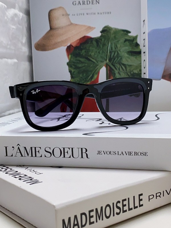 RayBan 0RBR0502S