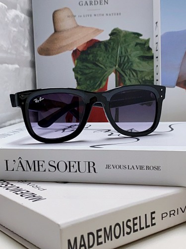RayBan 0RBR0502S