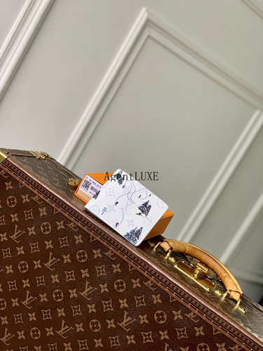 Louis Vuitton Wallet Skiing