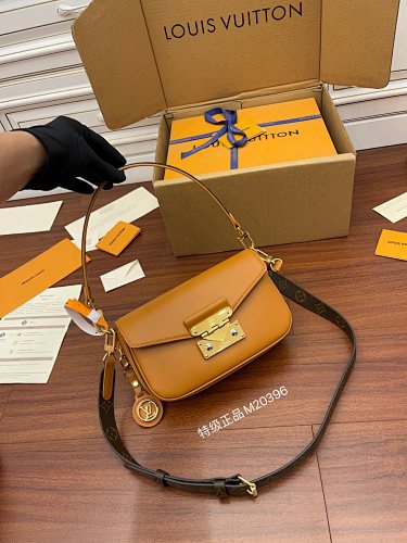 Louis Vuitton bag