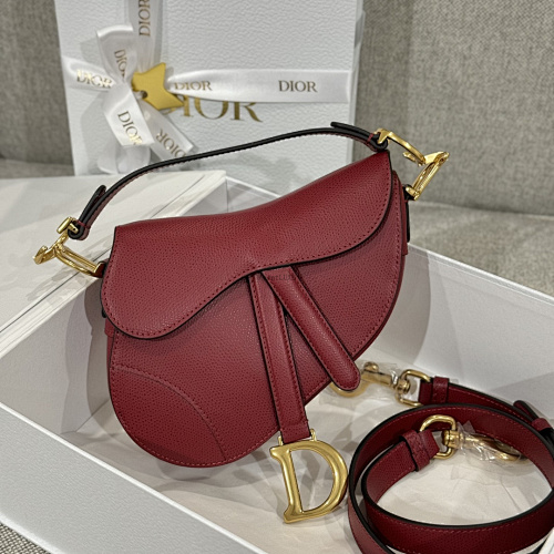 Louis Vuitton saddle bag