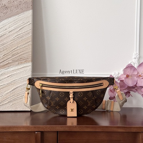 Louis Vuitton belt bag