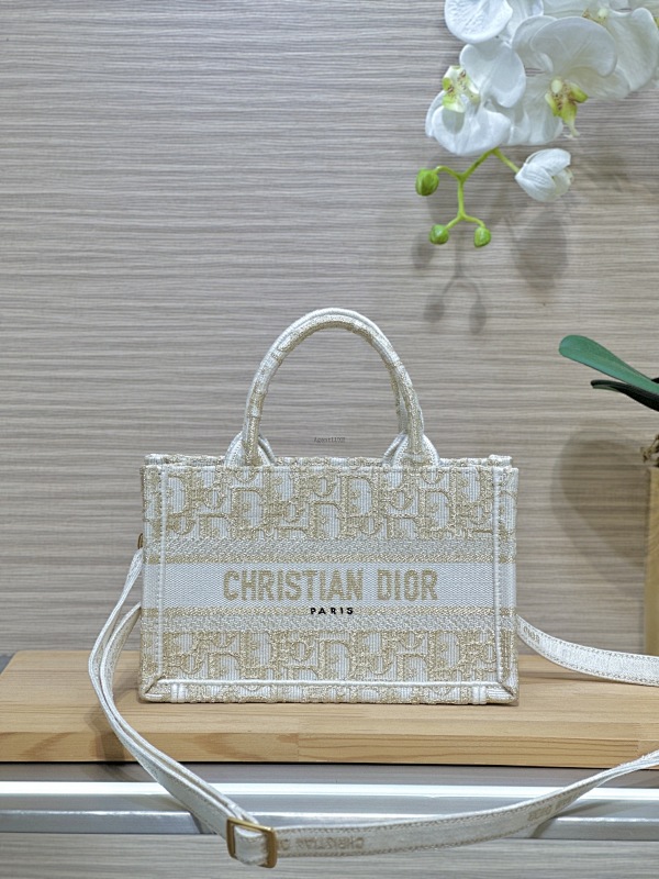 Oblique Christian Dior Paris CD