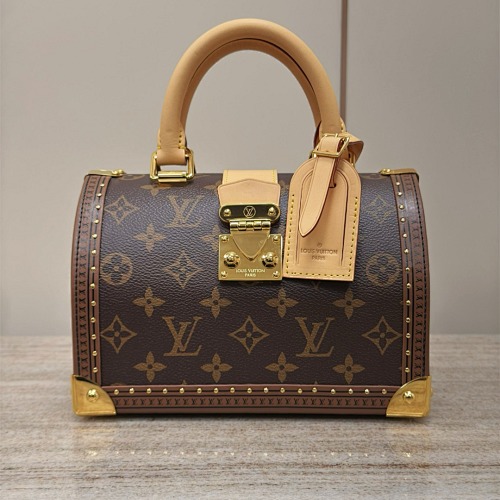 Louis Vuitton Speedy Trunk