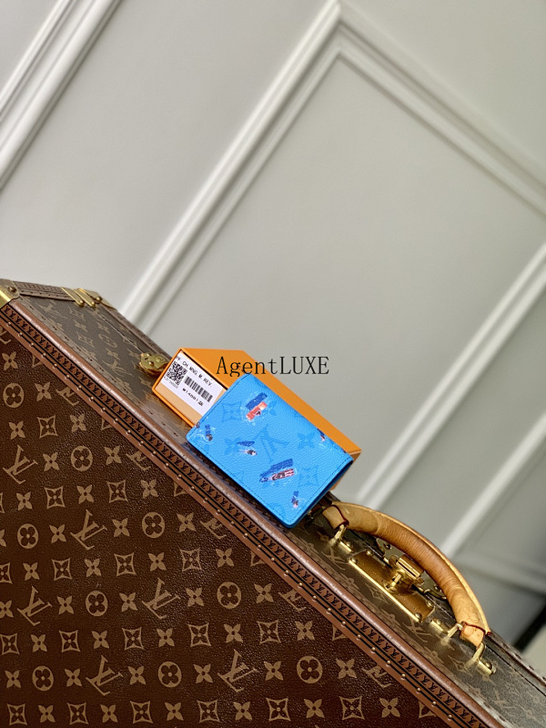 Louis Vuitton Wallet Swimming
