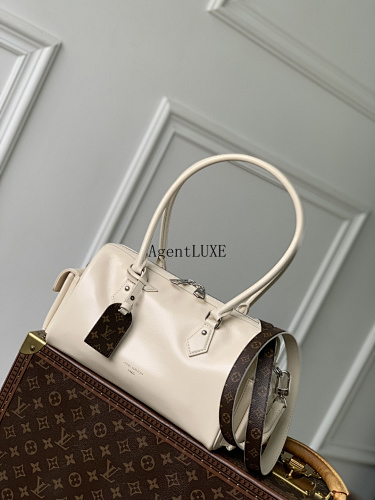Louis Vuitton Speedy Cargo LV Vibe Monogram