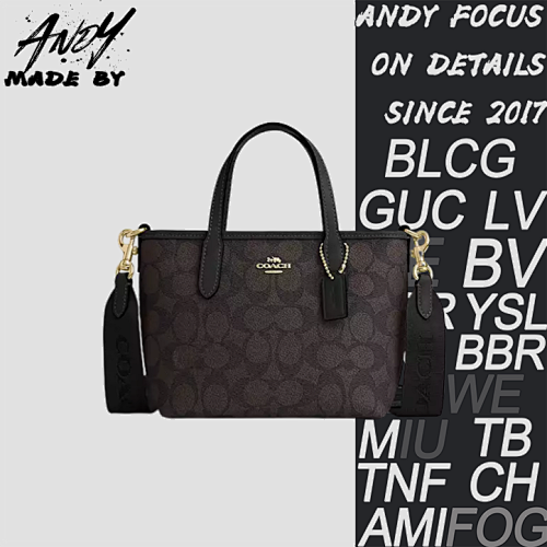 Louis Vuitton Coach Carryall Hobo Bag
