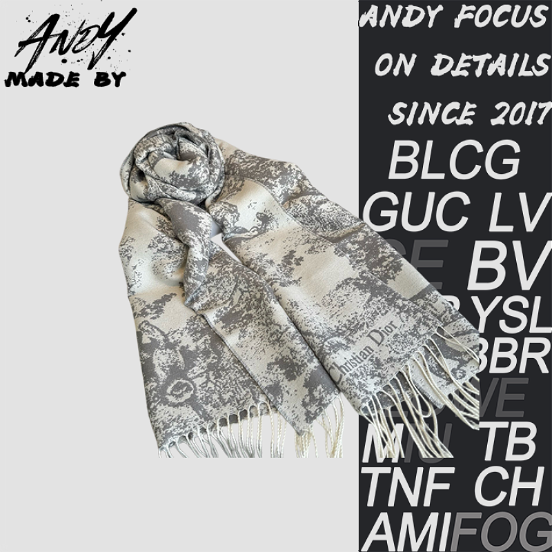 Dior Printed Scarf