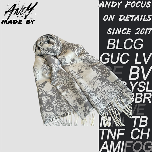 Dior Printed Scarf