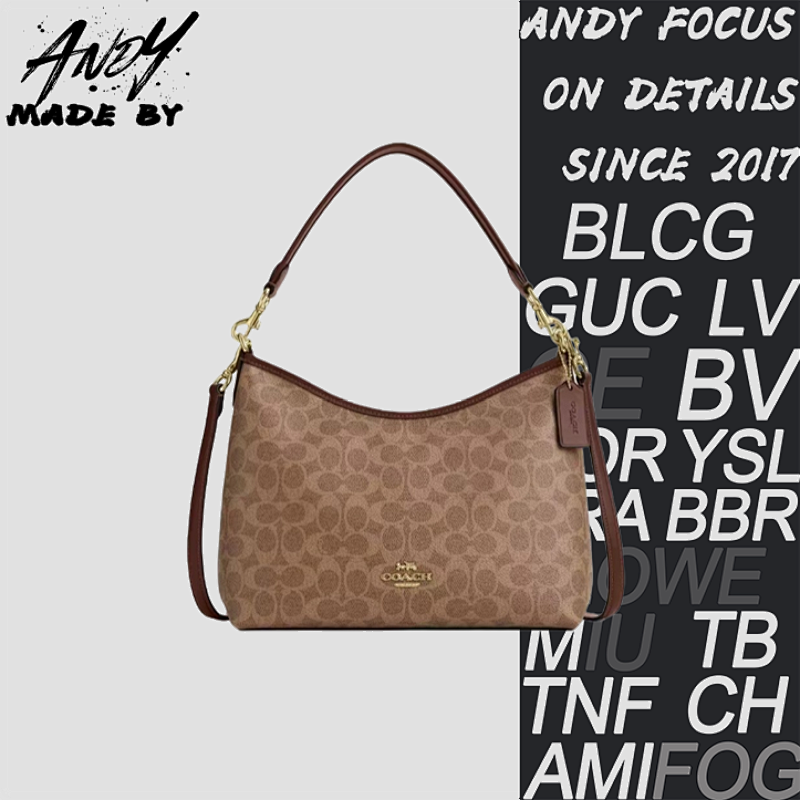 Louis Vuitton Coach Carryall Hobo Bag