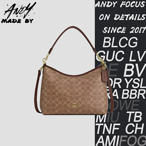 Louis Vuitton Coach Carryall Hobo Bag