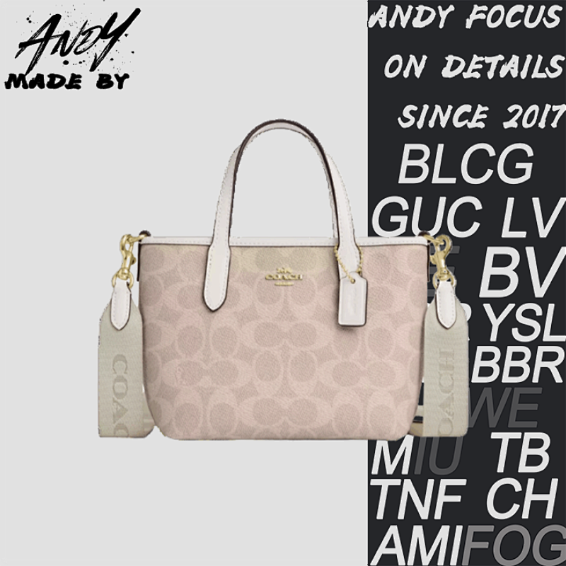 Louis Vuitton Coach Carryall Hobo Bag