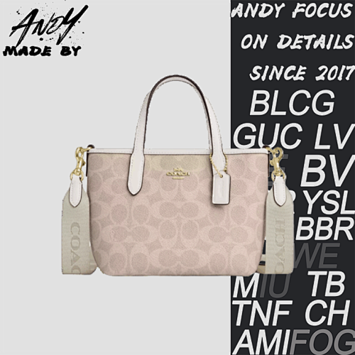 Louis Vuitton Coach Carryall Hobo Bag