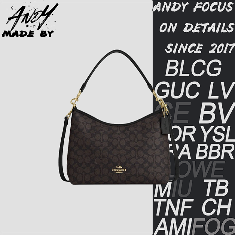 Louis Vuitton Coach Carryall Hobo Bag