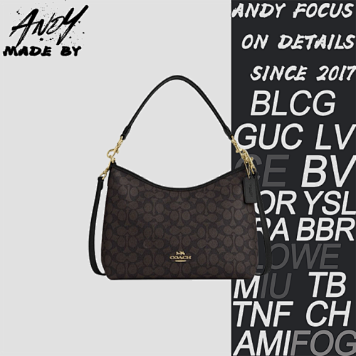 Louis Vuitton Coach Carryall Hobo Bag