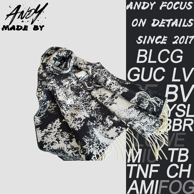 Dior Printed Scarf