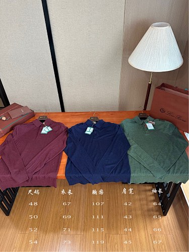 Wish Wool Polo